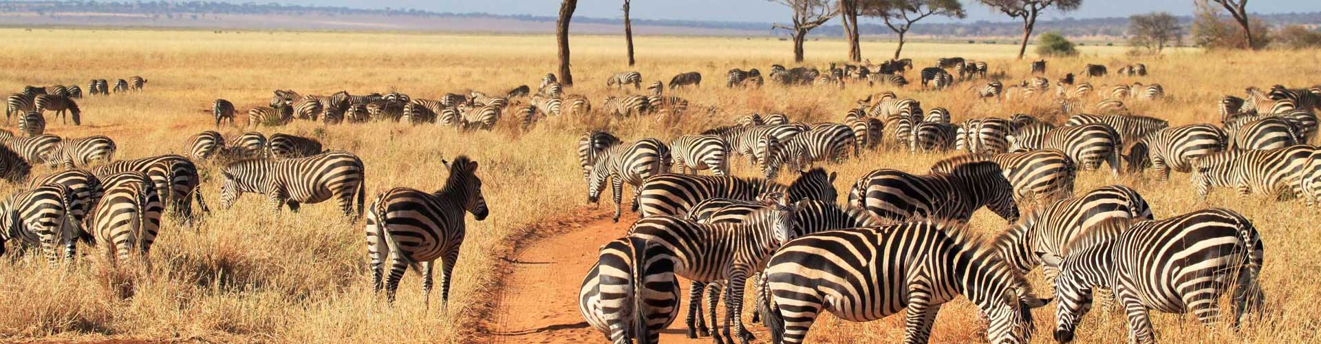 Rumanyika-Karagwe national park