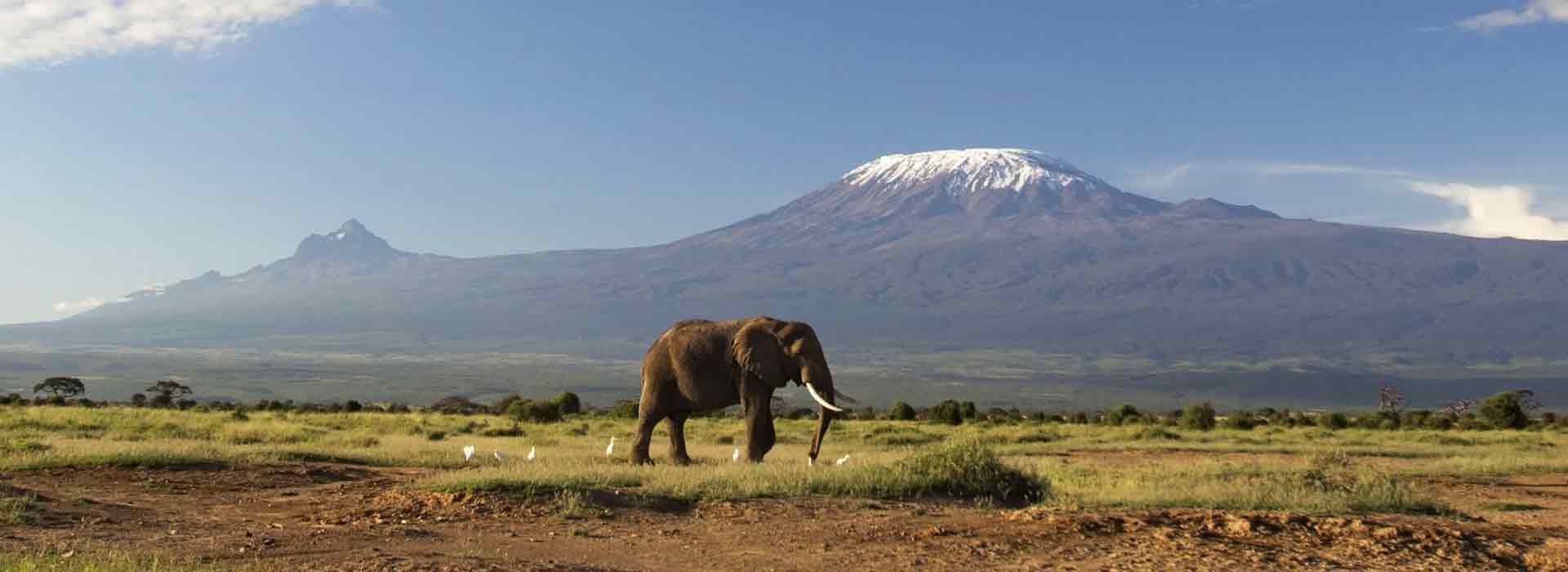 kilimanjaro national park