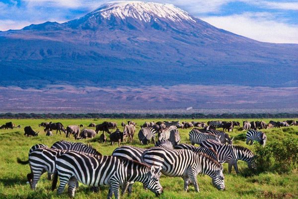 kilimanjaro national park