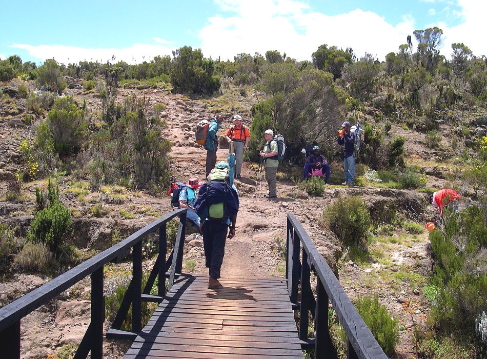 5 Days – Kilimanjaro Climbing – Marangu Route