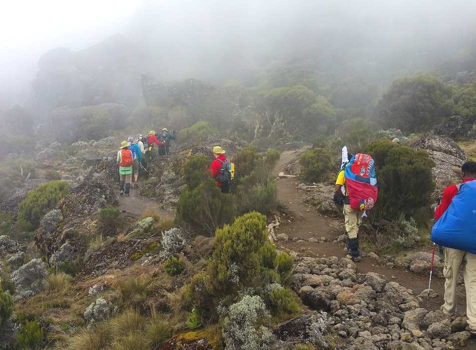 7 Days – Kilimanjaro Climbing – Machame Route